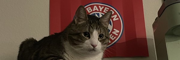 Pohner Profile Banner