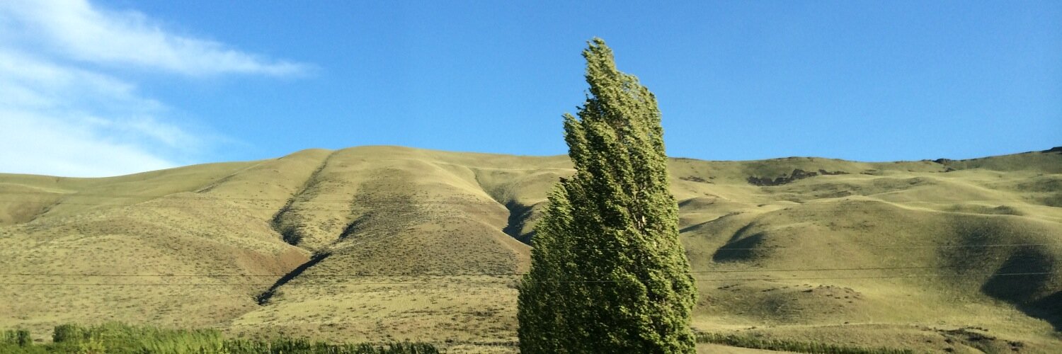 vaughnharmon's profile banner image