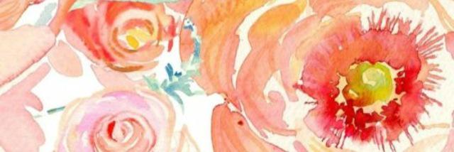 meg_scholl's profile banner image