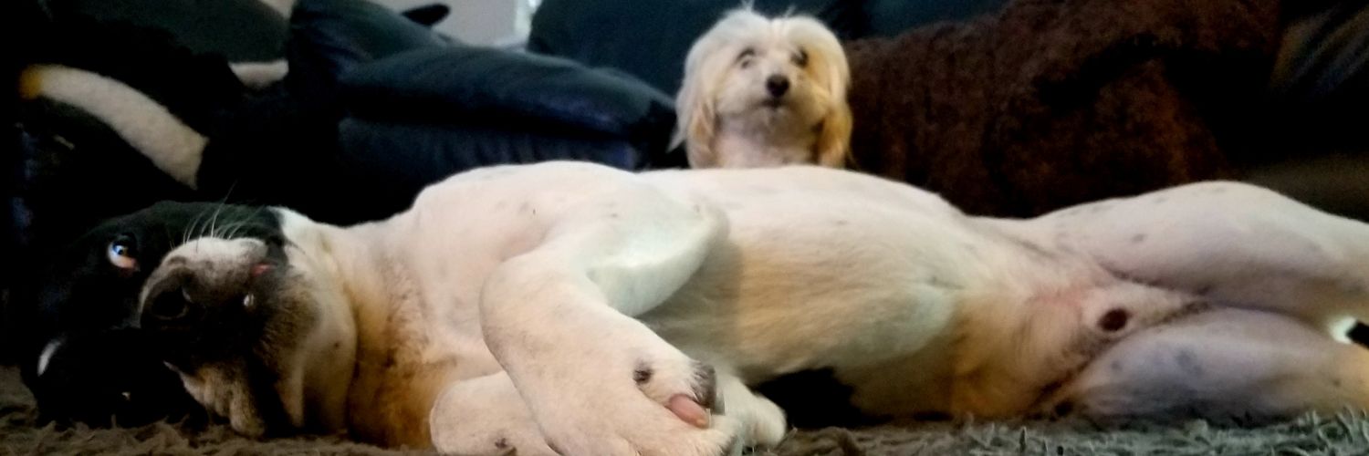inyourfacebook's profile banner image