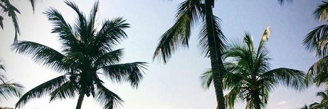 Hermannkila's profile banner image