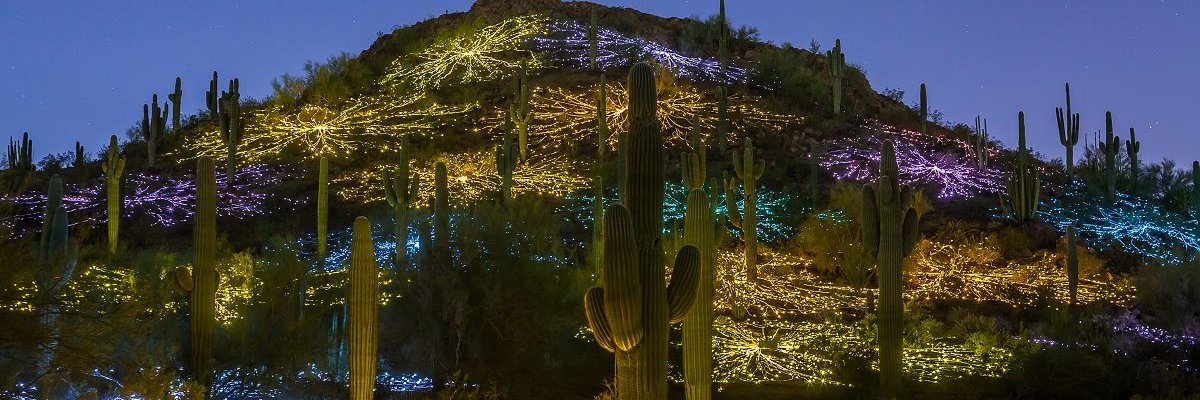 rachel dodell banner