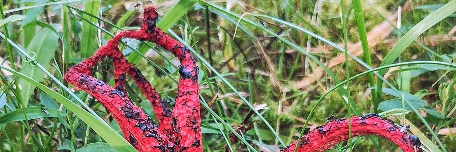 relax332's profile banner image