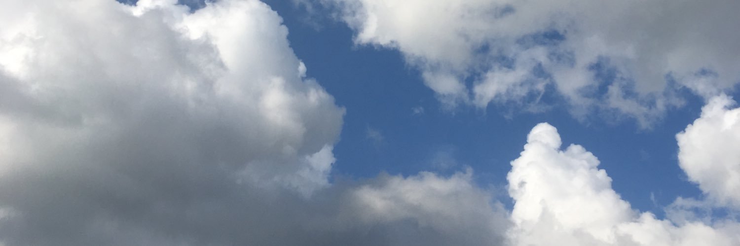 cwiese87's profile banner image