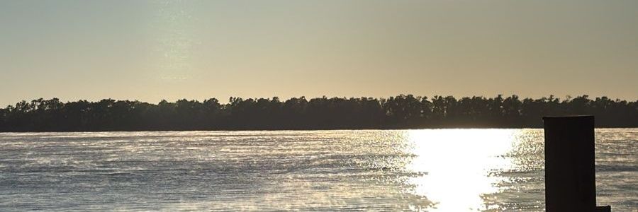 SanCarlosMenem's profile banner image