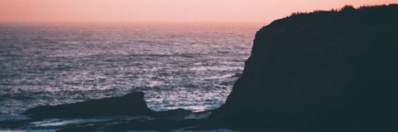 mich ◕ ◡ ◕ banner