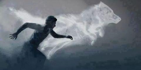 WolfWatch_'s profile banner image