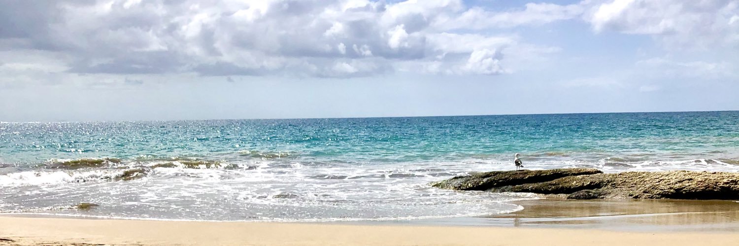 leaacamacho's profile banner image