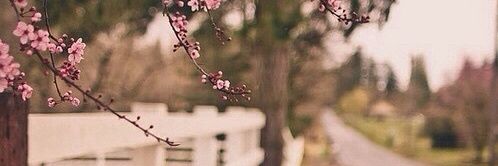 MyWorldsBieber's profile banner image