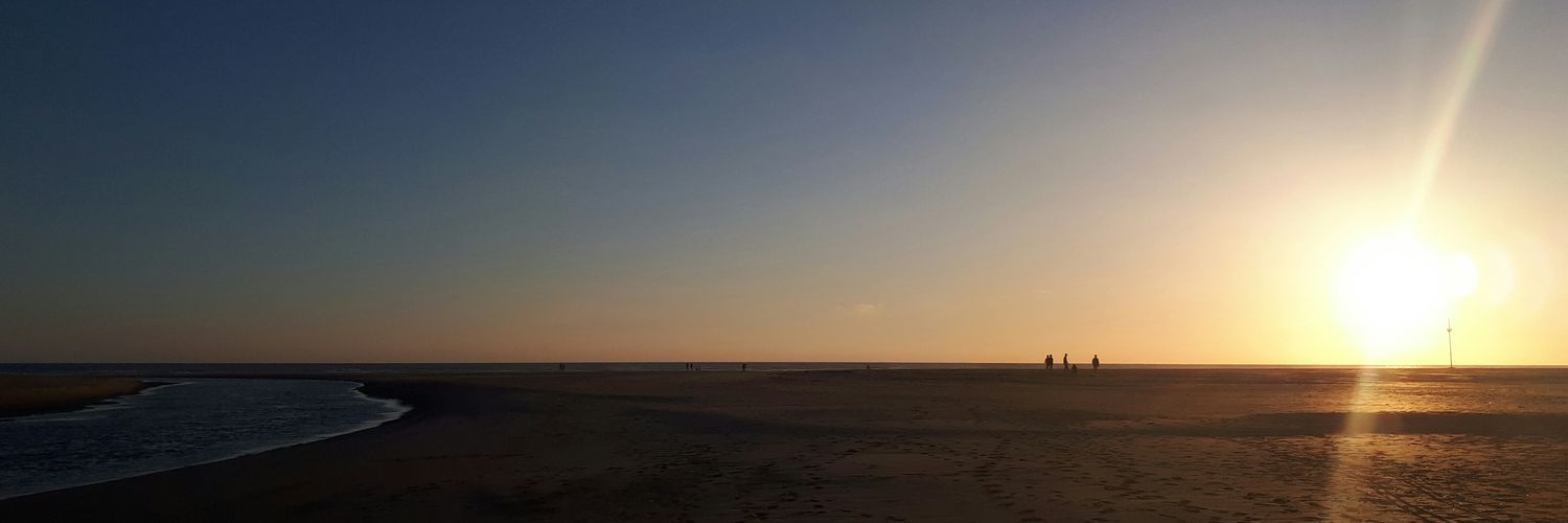 MfVicen's profile banner image