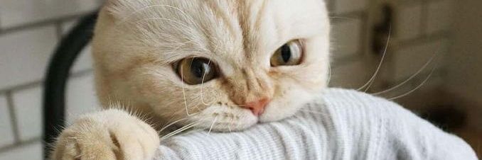mo_minf's profile banner image
