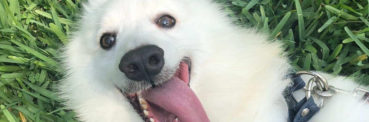 dianalhd's profile banner image