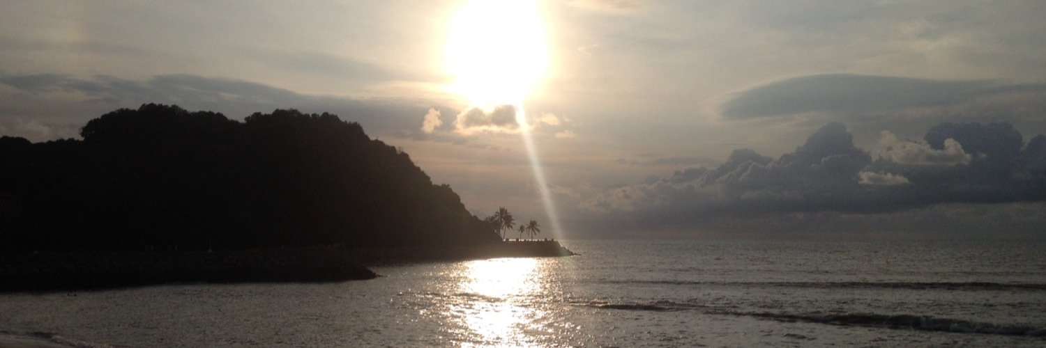 ivi1491's profile banner image