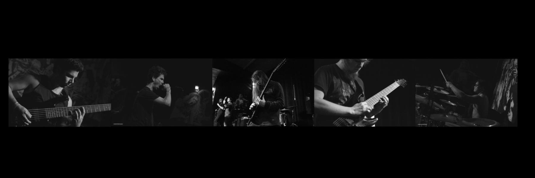OmnisBand's profile banner image
