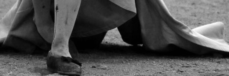 Amor Rodriguez banner
