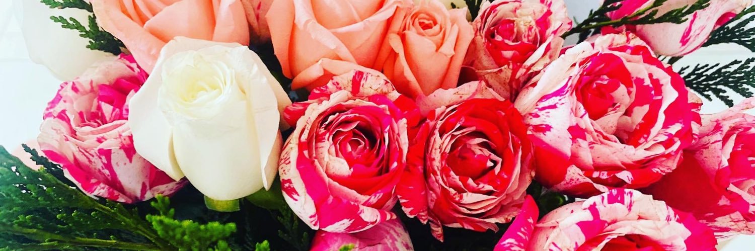 GiovannaILS's profile banner image