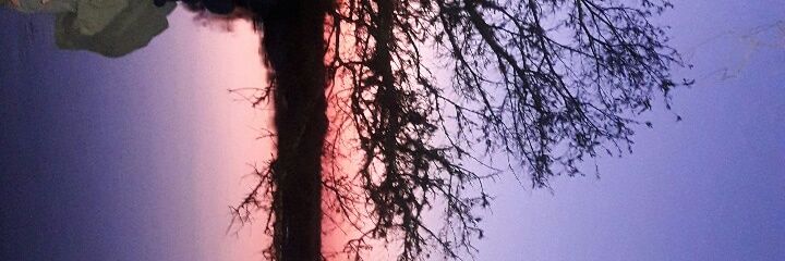 Sofi_Lopez06's profile banner image