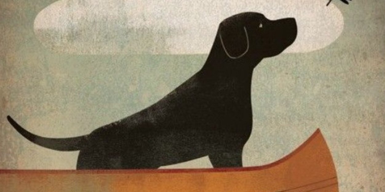 madymesi's profile banner image