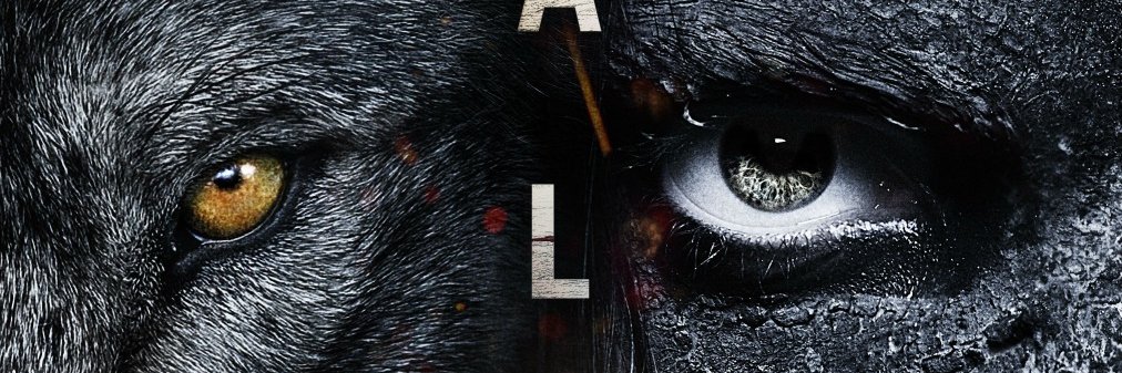 hbwinger7's profile banner image