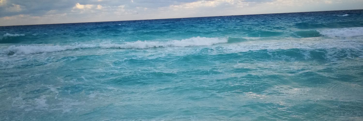 leiimir's profile banner image