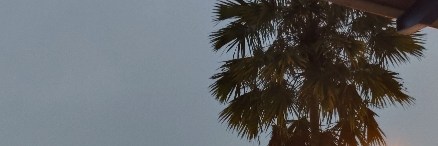 fnara03__'s profile banner image