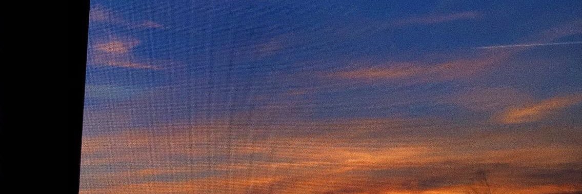 mia_840's profile banner image