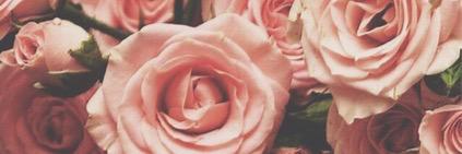 Calistaa_Baee12's profile banner image