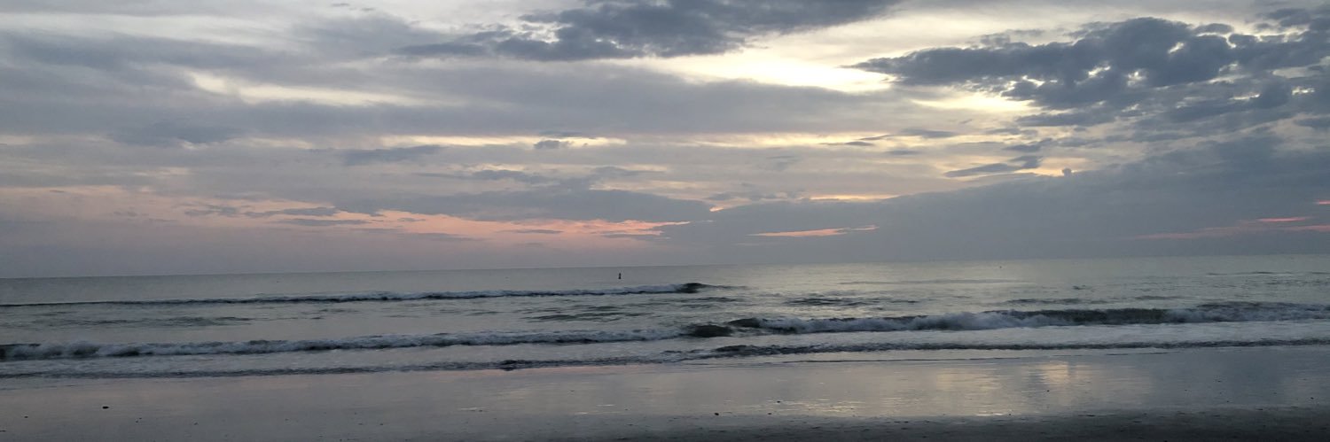 CaleyLeblanc's profile banner image