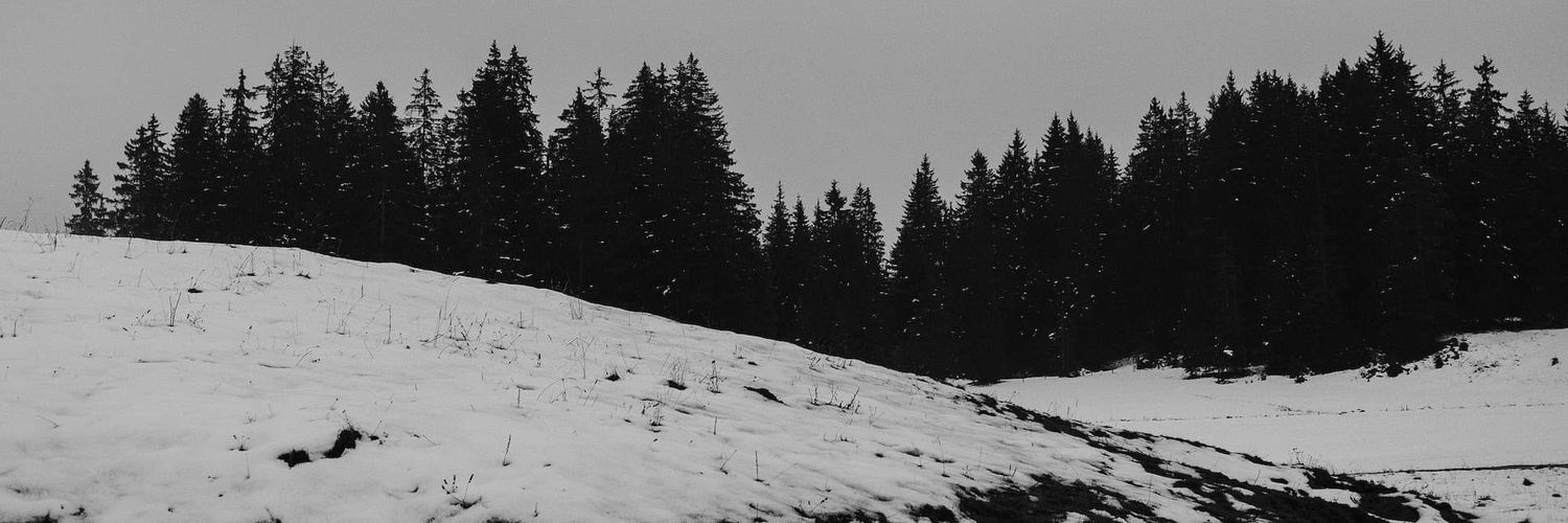 C_linarez's profile banner image