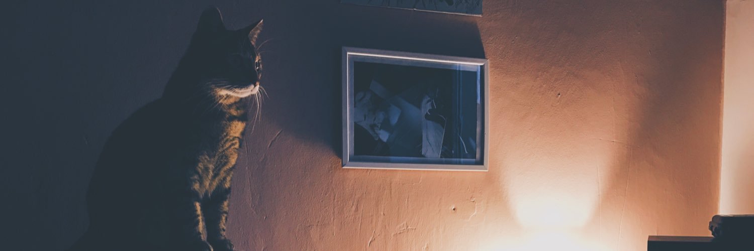 phaja_'s profile banner image