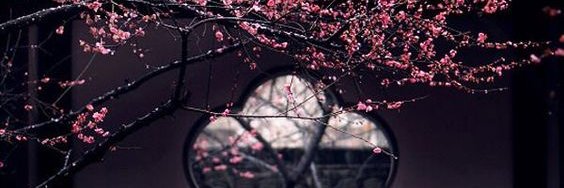 Lunae_Nocte's profile banner image