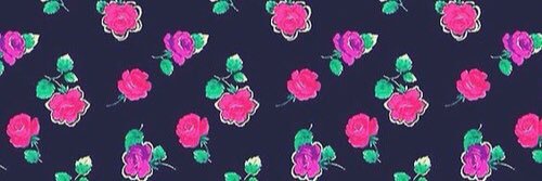 Feernanda_hermo's profile banner image