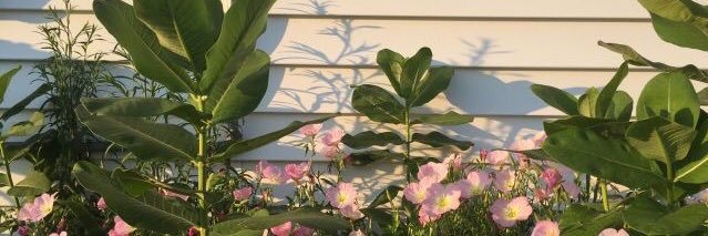 jyumm's profile banner image