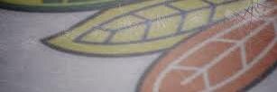 HawksHockeyDev's profile banner image