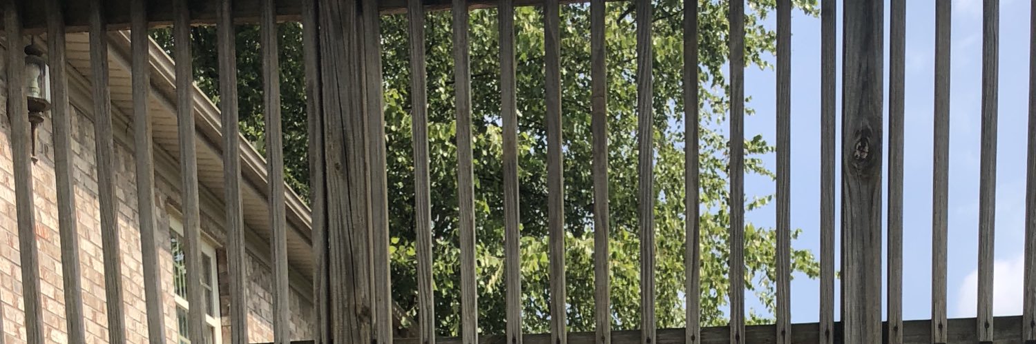 caybuggers1's profile banner image
