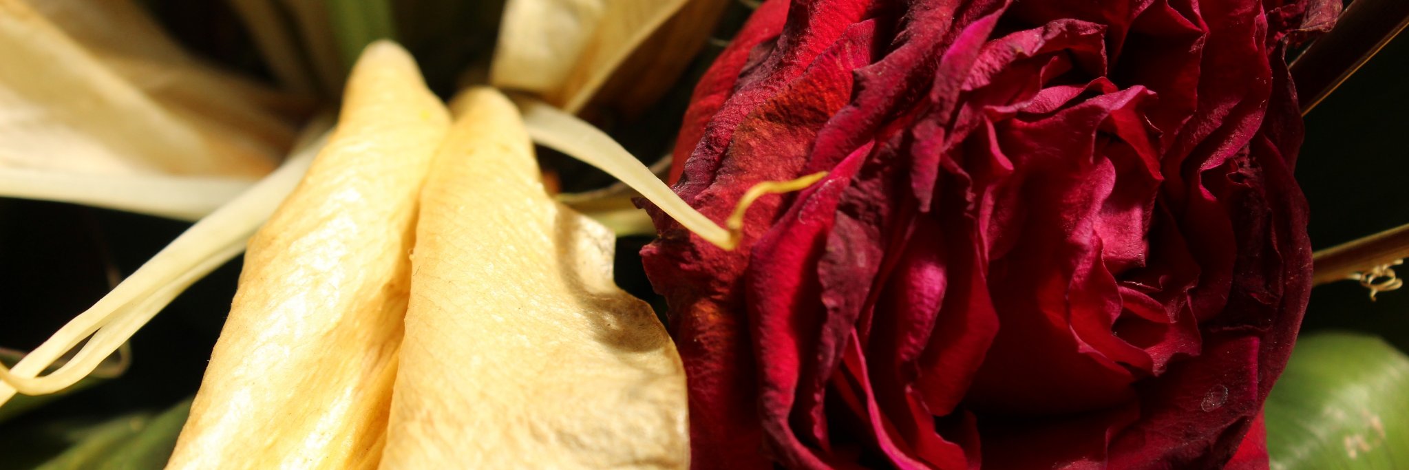 iqueandyy's profile banner image