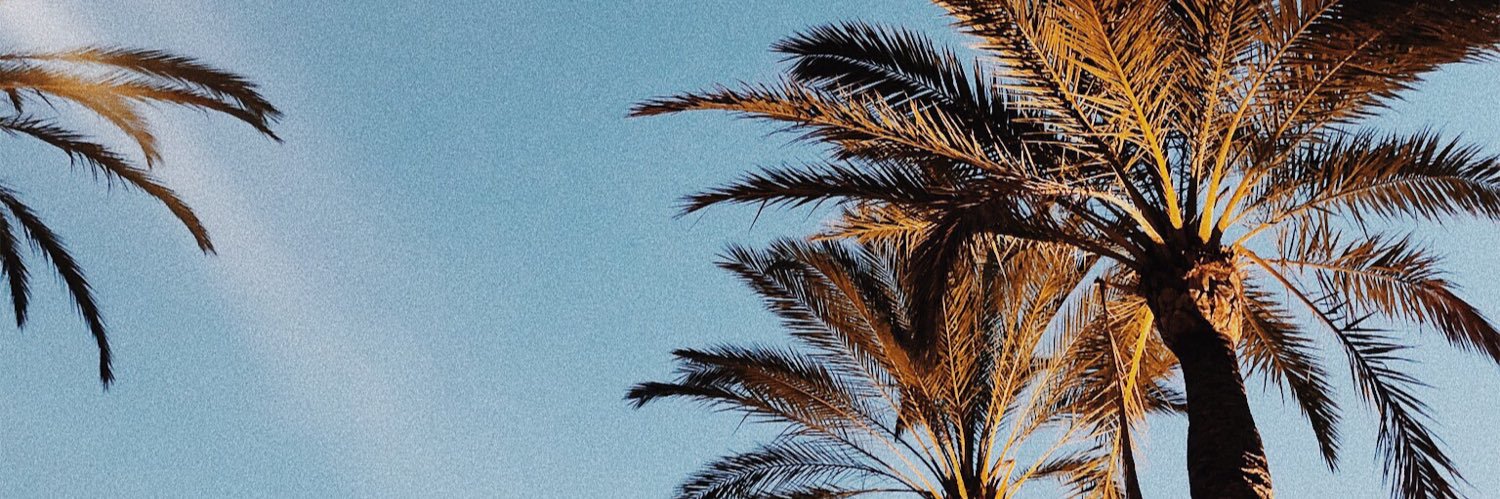 deannax13's profile banner image
