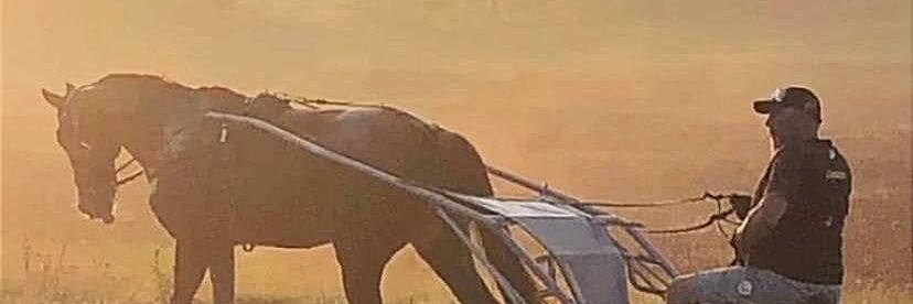 Sebastian Bolstad banner