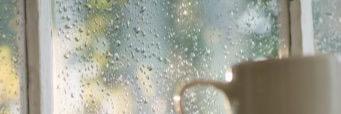 AnnaWillows's profile banner image