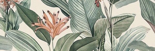 kmcblas's profile banner image