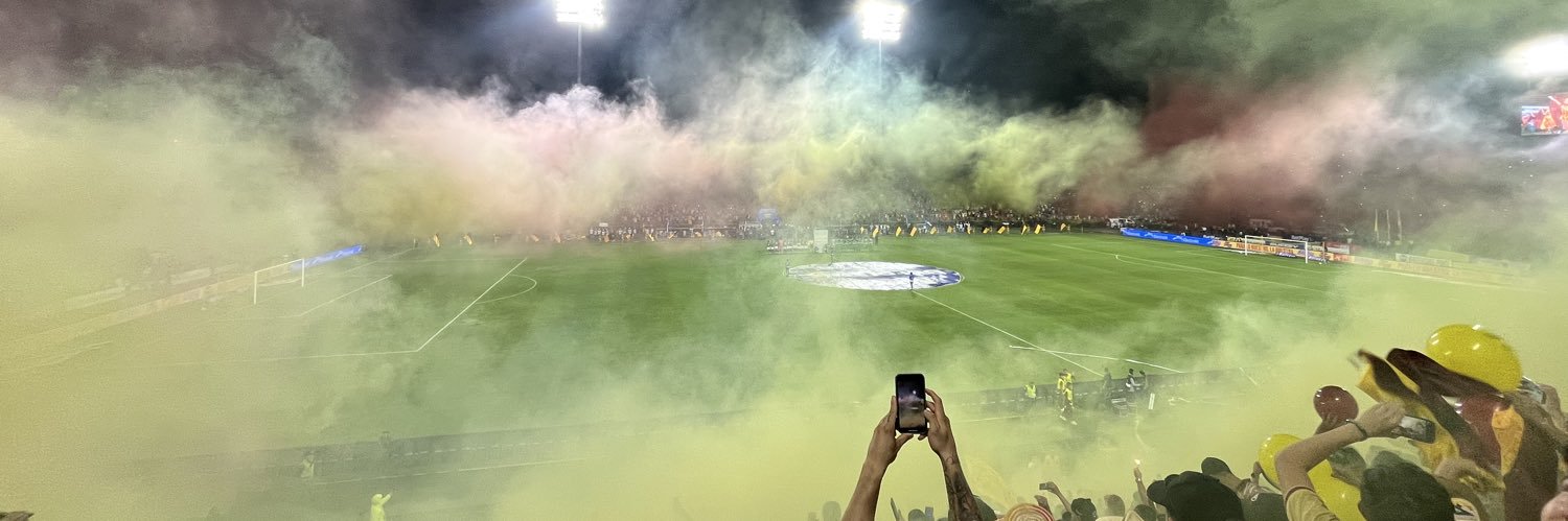 NO MÁS NEGROS DE MIERDA EN EL TOLIMA banner