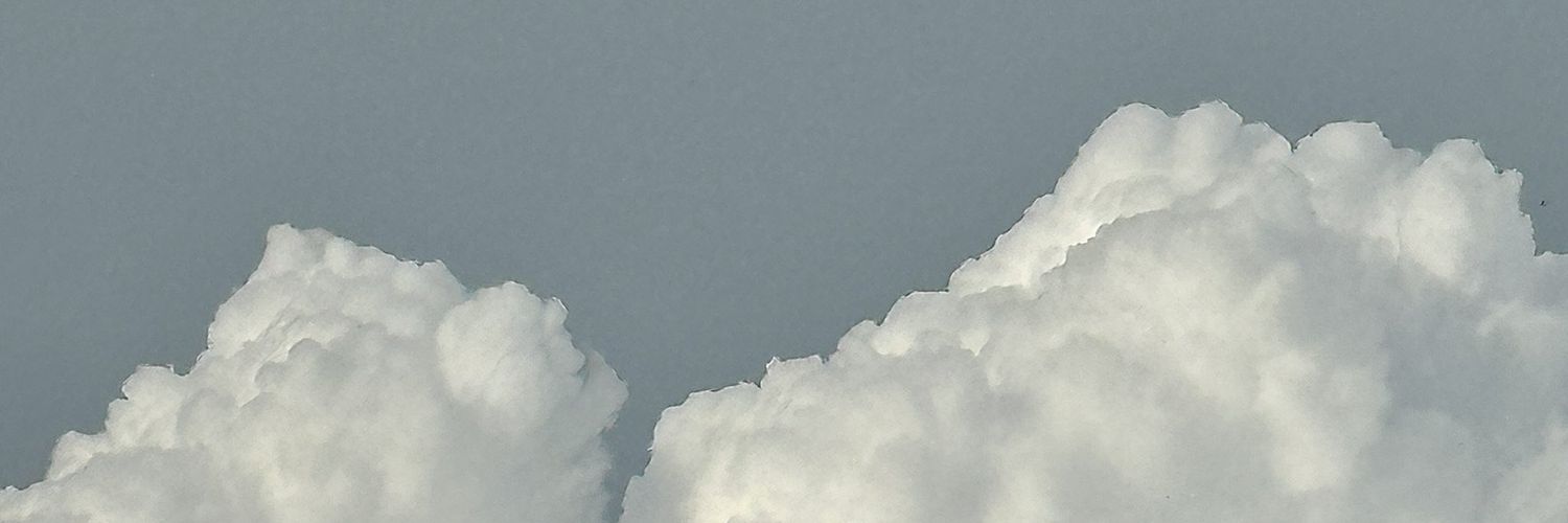 B.U banner