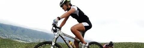 MariaNoelMartin's profile banner image