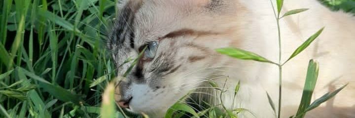 Kathy211636's profile banner image