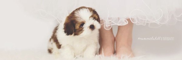 julmirf Profile Banner