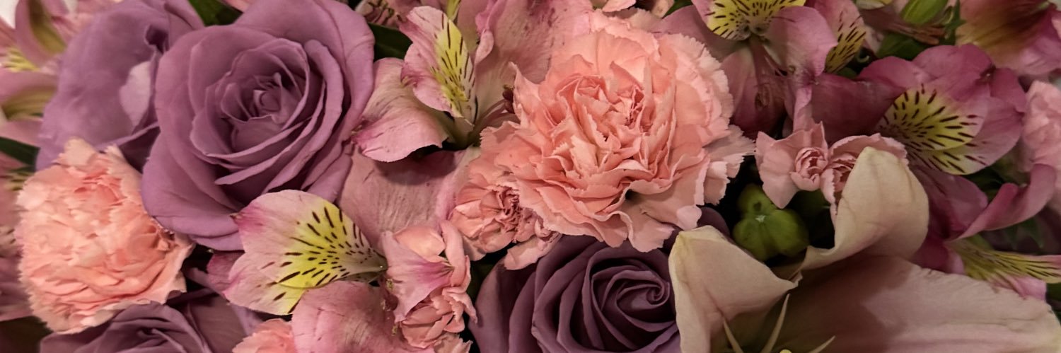 irisrodas0626's profile banner image