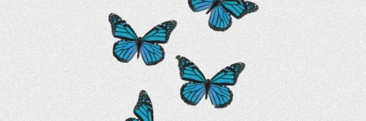 EmilyLaufman's profile banner image