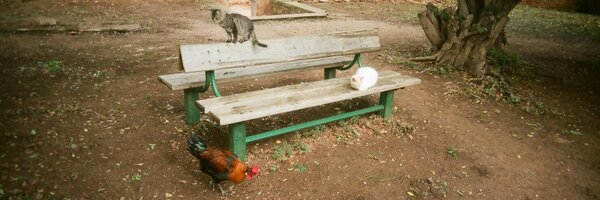 goodformand Profile Banner