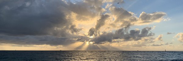 whole_patients Profile Banner