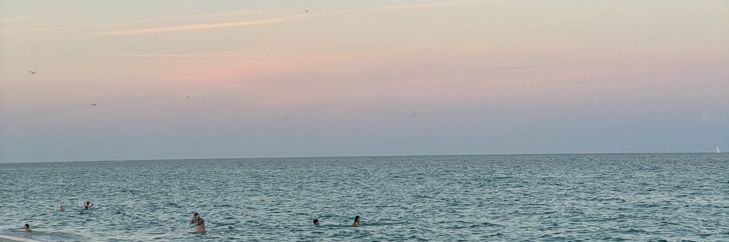 Ms. Pink 🎀 banner